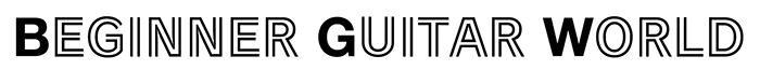 ビギナーギターワールド / 初心者さんにもわかりやすくエレキギターのあれこれを解説