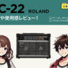 ROLAND / JC-22