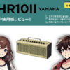 YAMAHA / THR10II