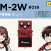 BOSS / DM-2W